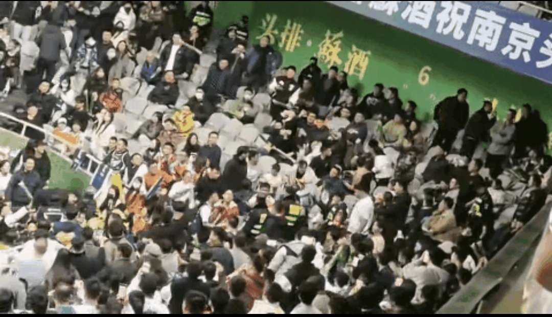 观众席上球迷们激情高涨，为队员们呐喊助威